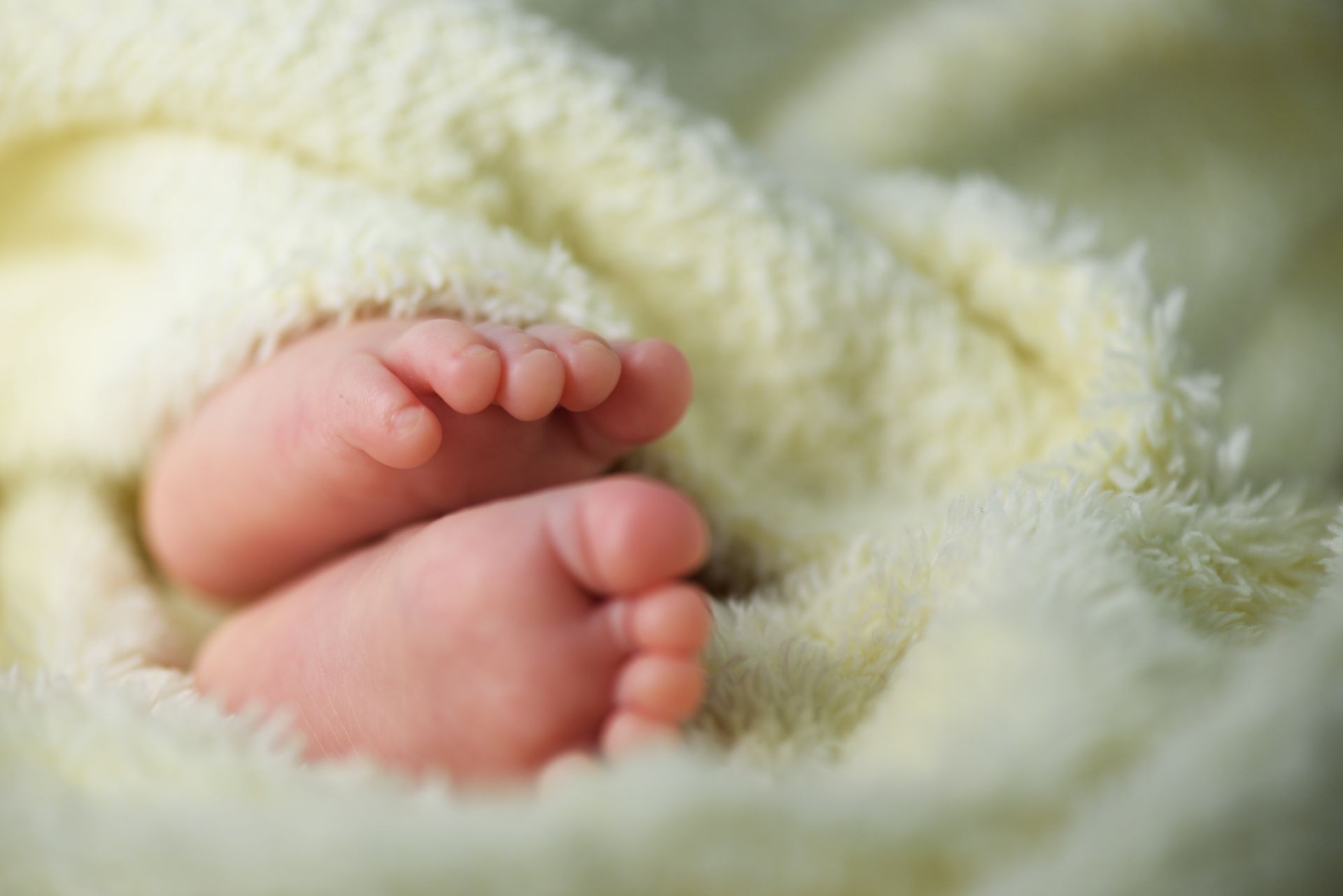Newborn baby feet in a fluffy blanket closeup. Motherhood and new life concept